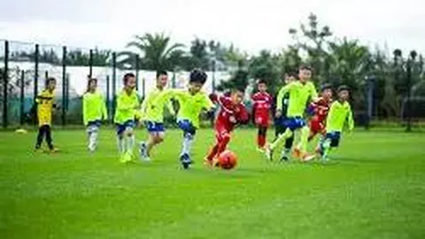 乐竞体育 产品 111406 plt