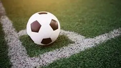 乐竞体育 产品 135146 egg